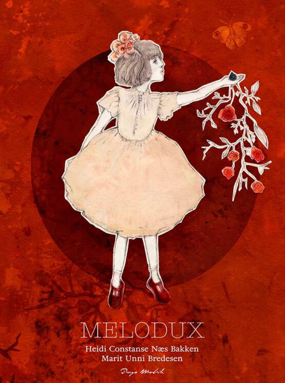 Melodux - En bok om sorg og drømmer - cover