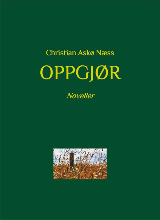 Bokcover - Oppgjør - Novellesamling
